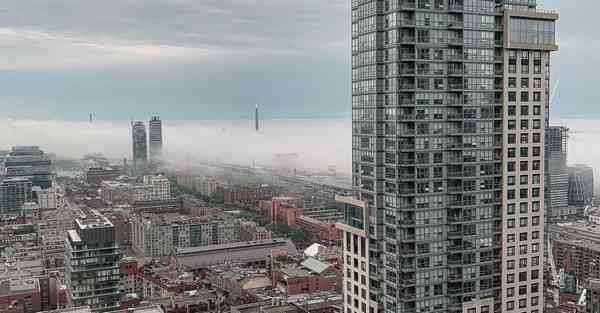 外国语单招大数据的行业文章