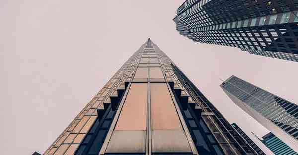 外国语单招大数据的行业文章