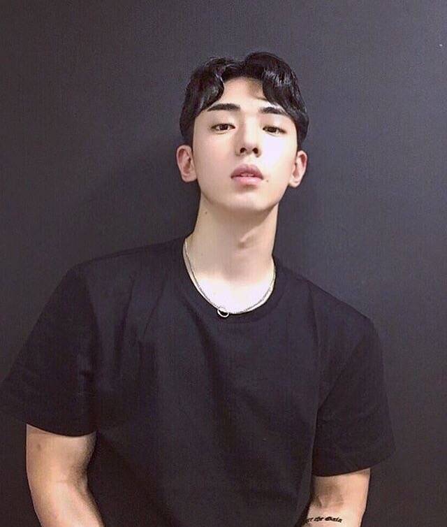 解彩淑冠