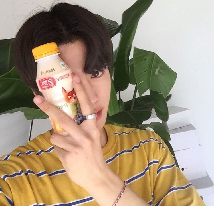 奚绿泰桂