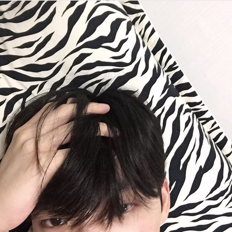 江学春维