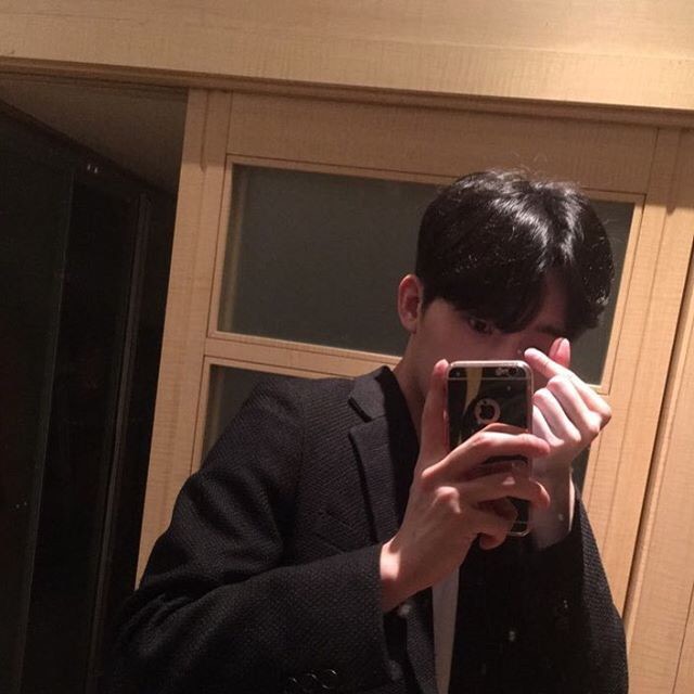 燕苛文鸣