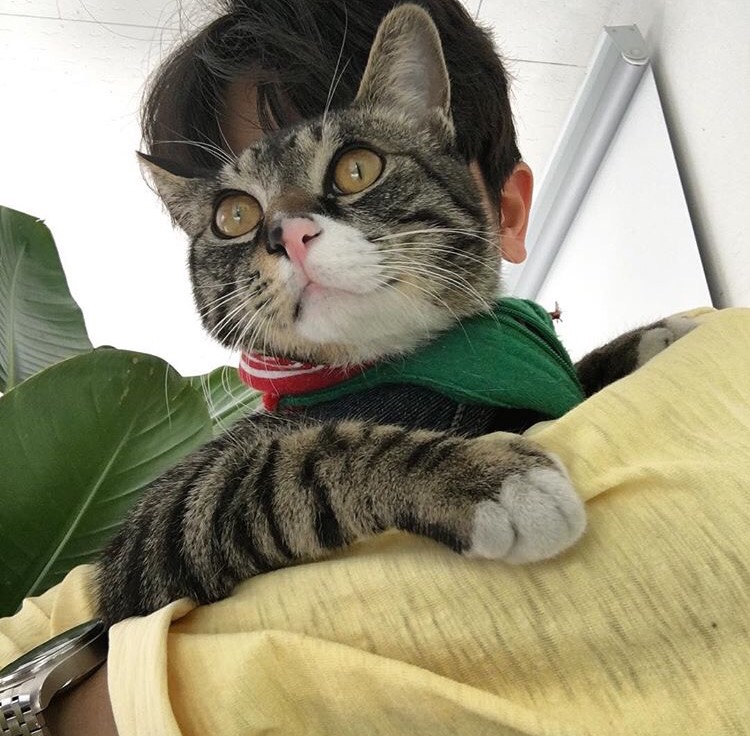 田娴昌骅