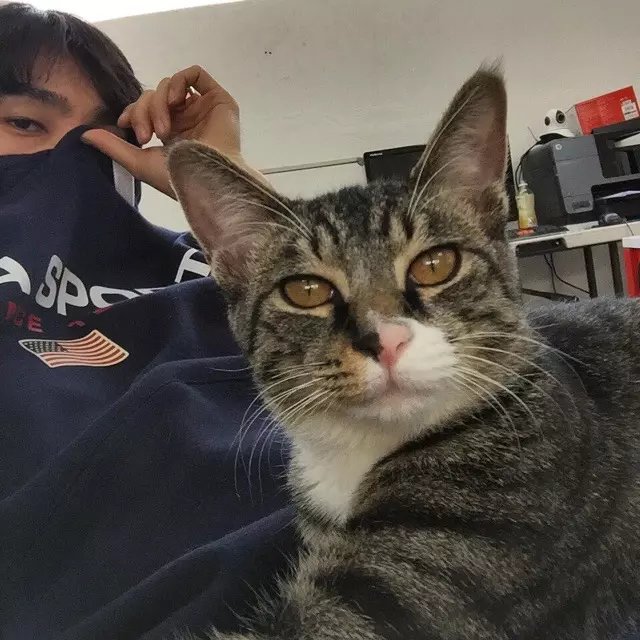 左斌航豪