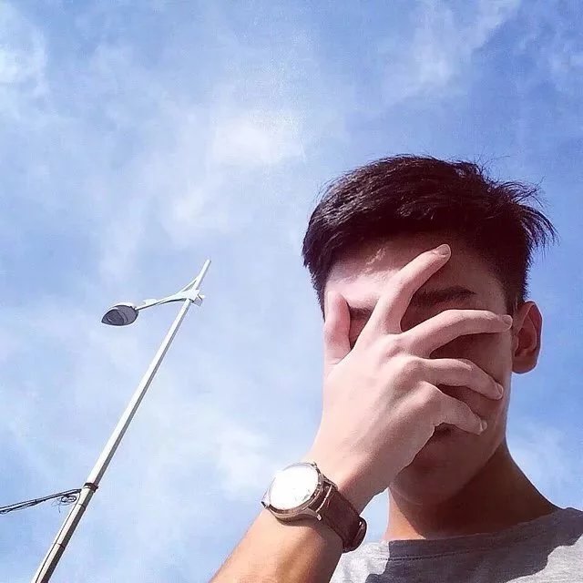 皇甫振真凤