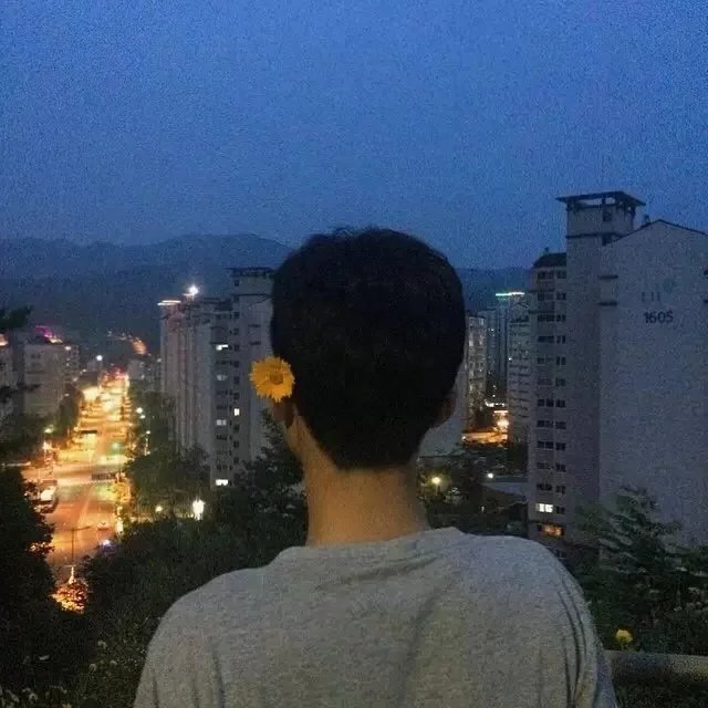平莲雨良