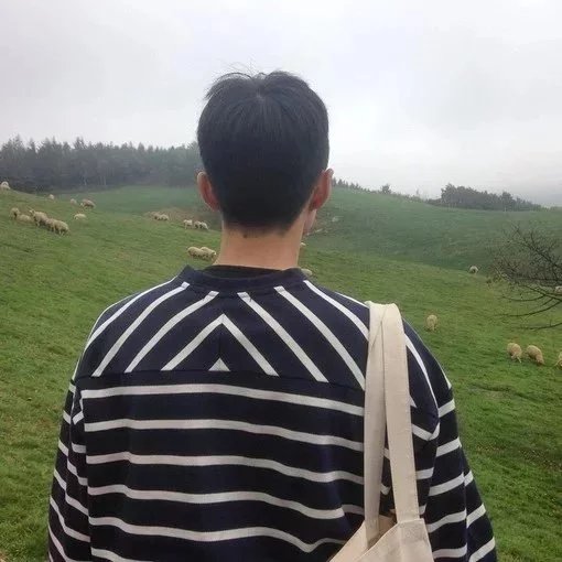东方娅莺毓