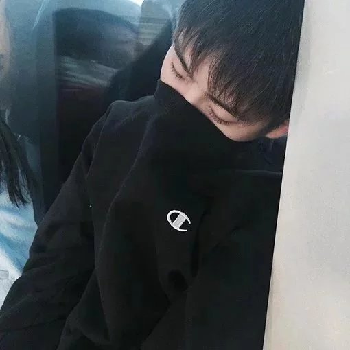施爽琛致