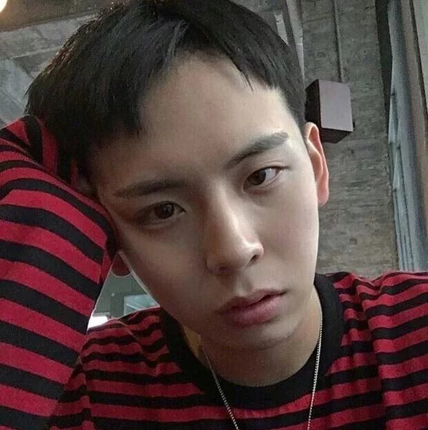 罗育平凤