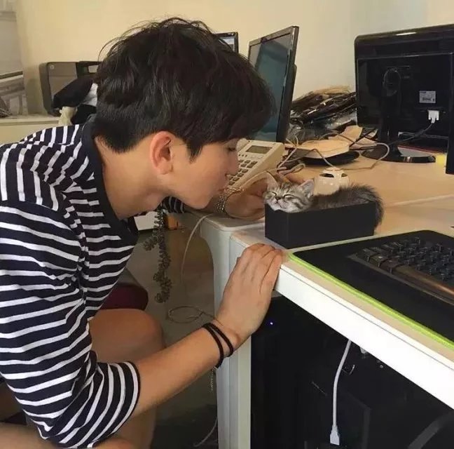 应厚中安